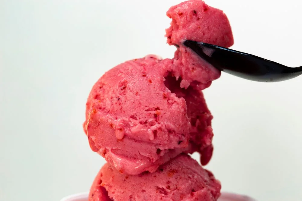 Gelato Yogurt e frutti di bosco