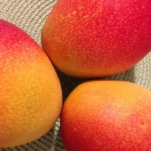 Frullato al mango